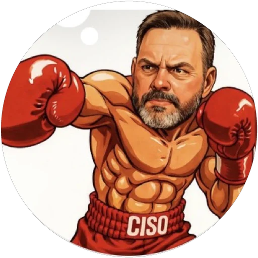 Cartoon of Daniel de Jager as a boxer in red gloves and red trunks reading CISO